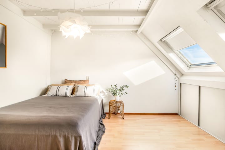 Foto 46 van Tureluur 13