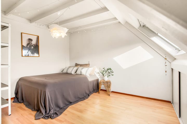 Foto 48 van Tureluur 13