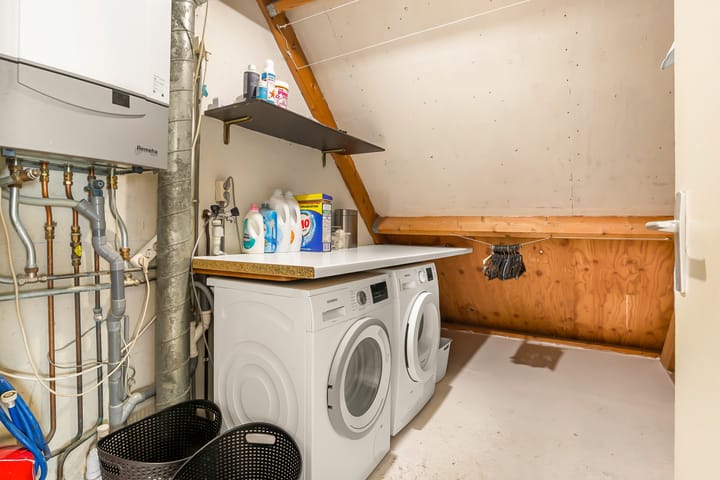 Foto 50 van Tureluur 13