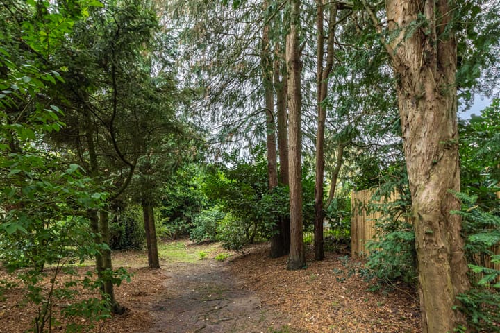 Foto 40 van Nieuwe Blaricummerweg 11