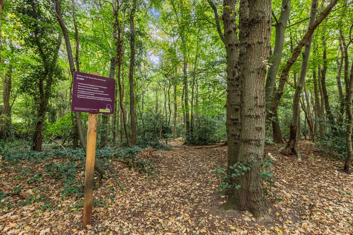 Foto 54 van Nieuwe Blaricummerweg 11