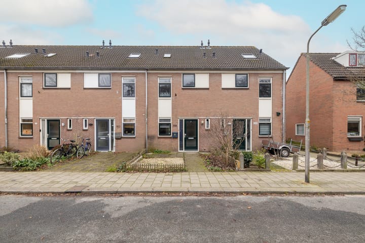 Foto 26 van Zeestraat 119