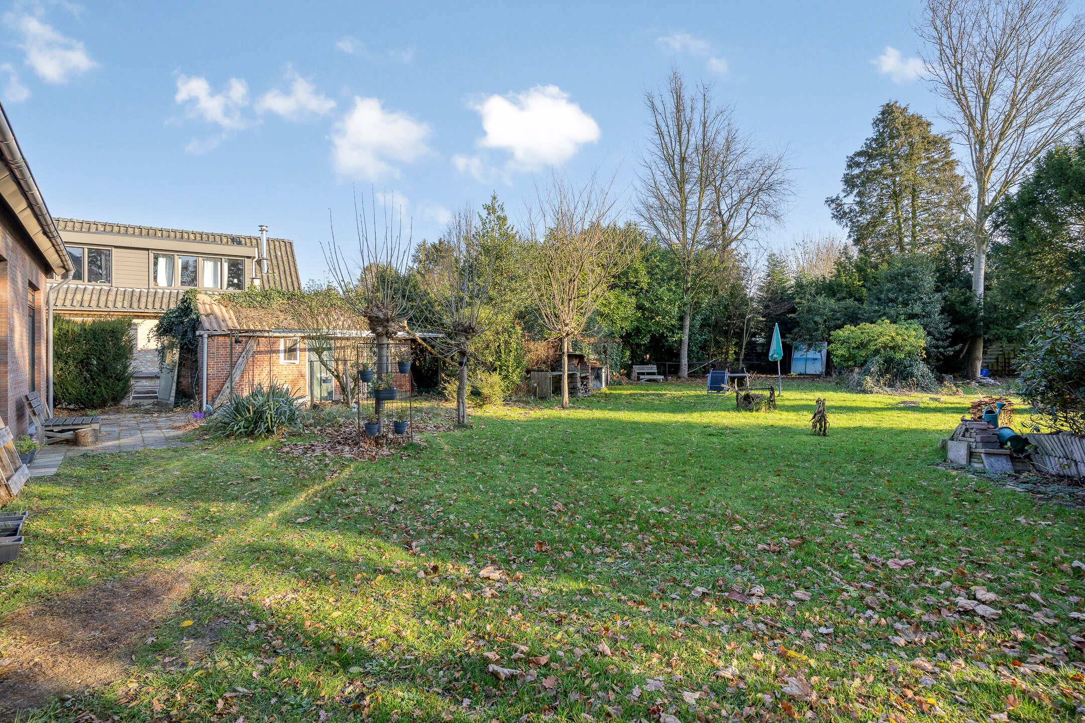 Foto 36 van Wilhelminastraat 121