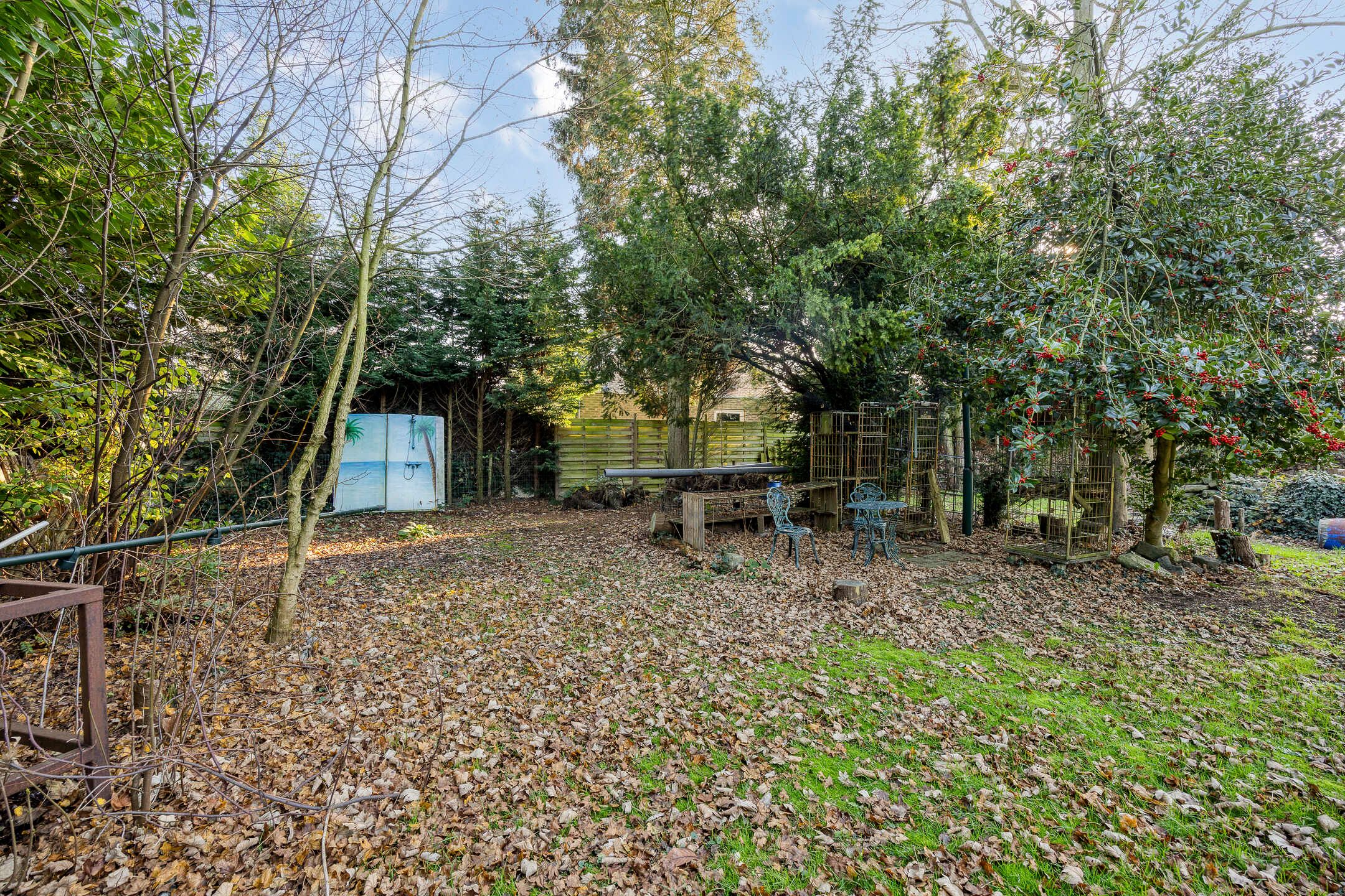 Foto 39 van Wilhelminastraat 121