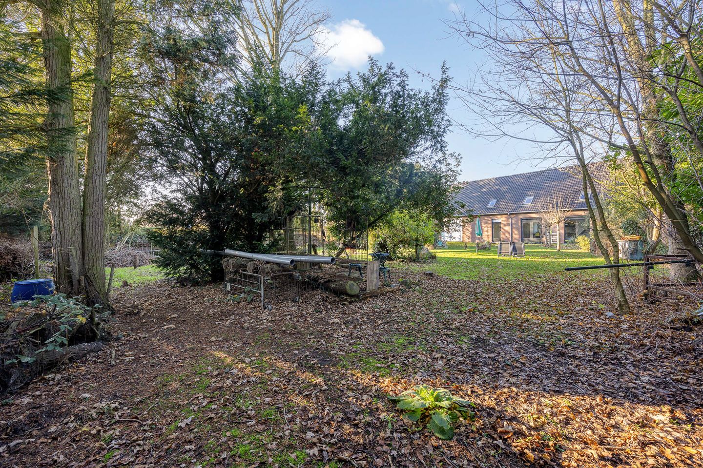 Foto 40 van Wilhelminastraat 121