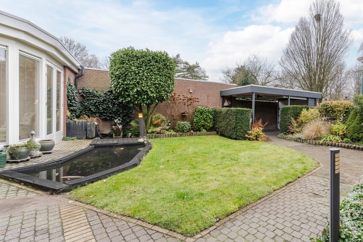 Foto 25 van de Spinner 5