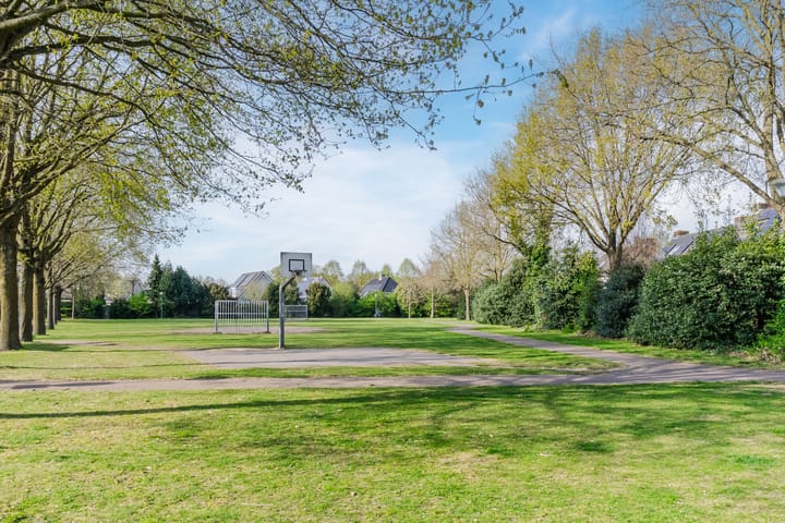 Foto 31 van de Spinner 5