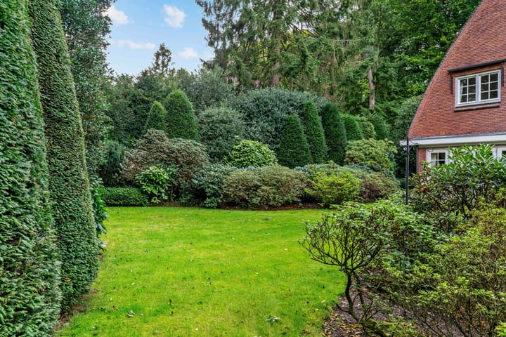 Foto 40 van Homeruslaan 4