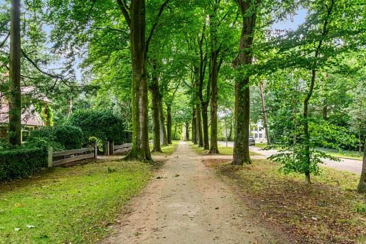 Foto 46 van Homeruslaan 4