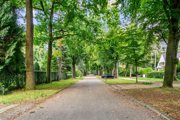 Foto 47 van Homeruslaan 4