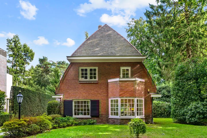 Foto 49 van Homeruslaan 4