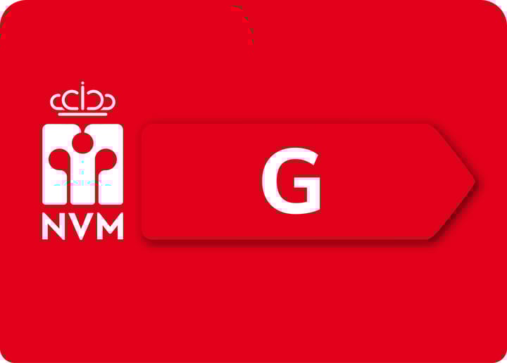 Foto 50 van Homeruslaan 4