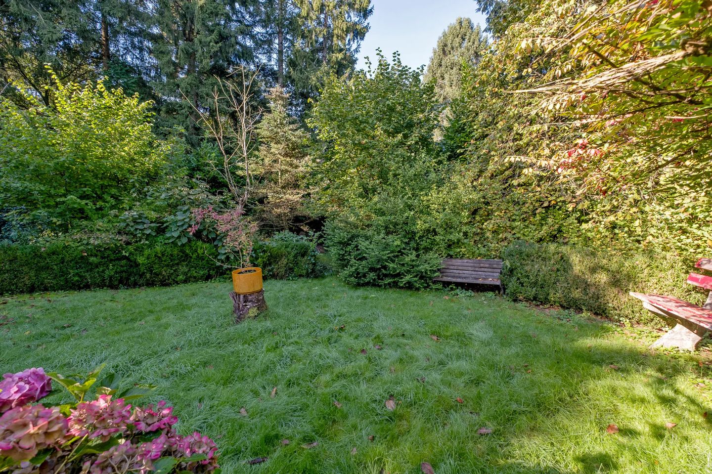 Foto 35 van Middenpad 4