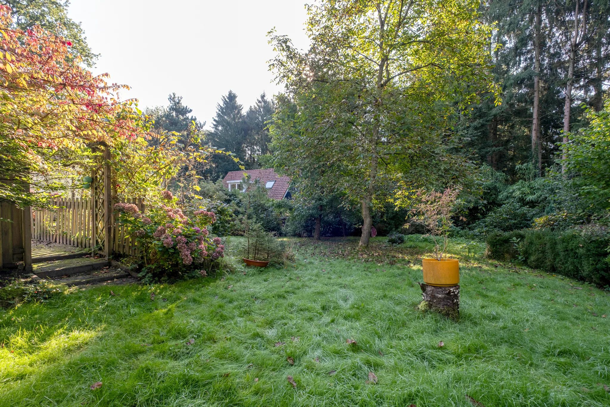 Foto 36 van Middenpad 4