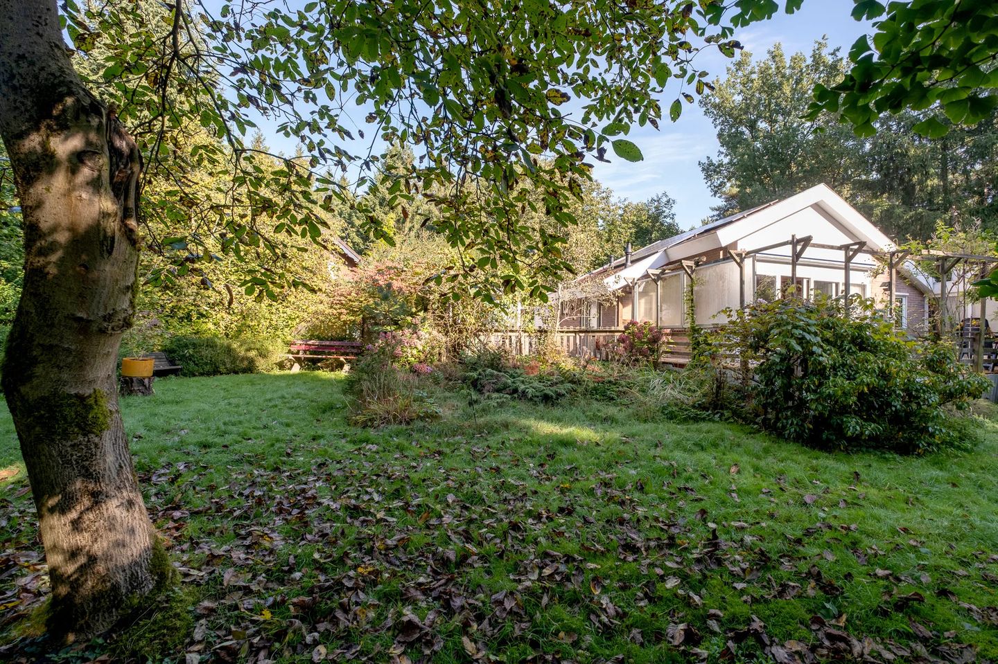 Foto 40 van Middenpad 4