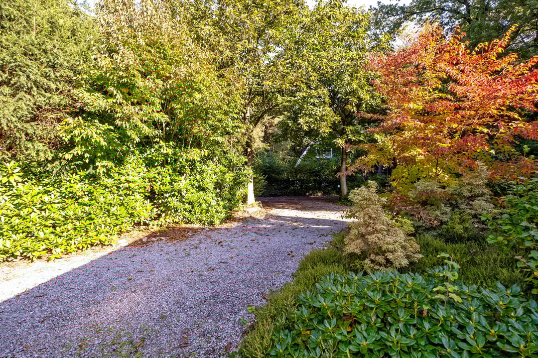 Foto 43 van Middenpad 4