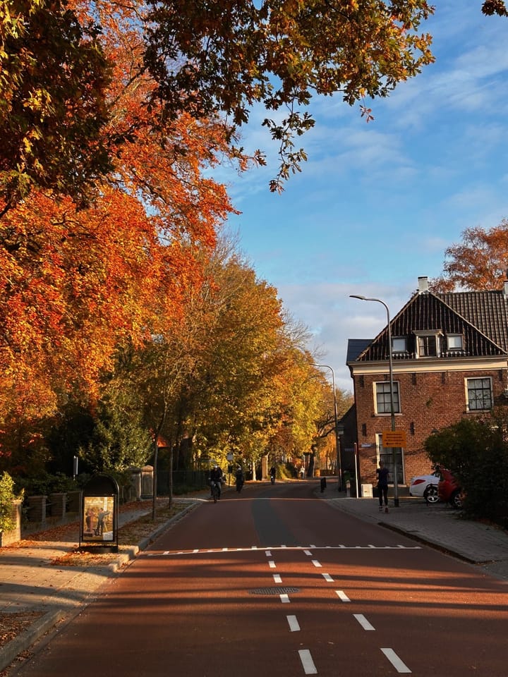 Foto 46 van Herenweg 70