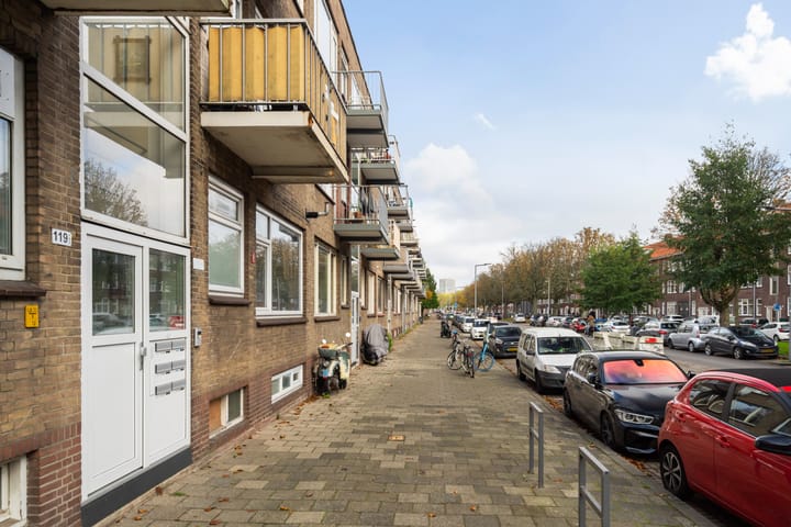 Foto 4 van Goereesestraat 117-A