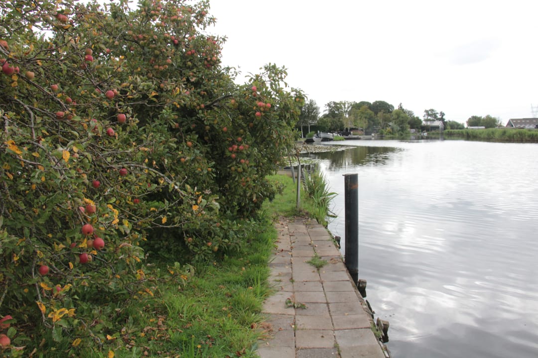 Foto 17 van Monnickendammerrijweg 51