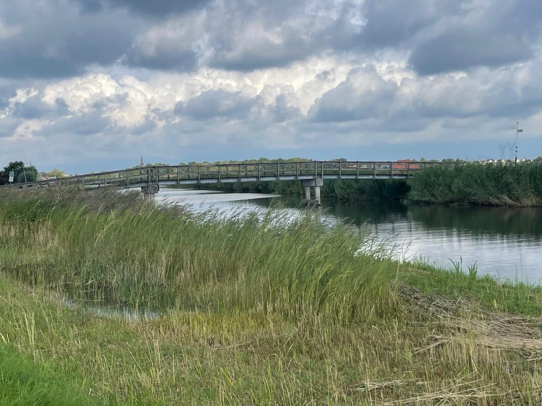 Foto 22 van Monnickendammerrijweg 51