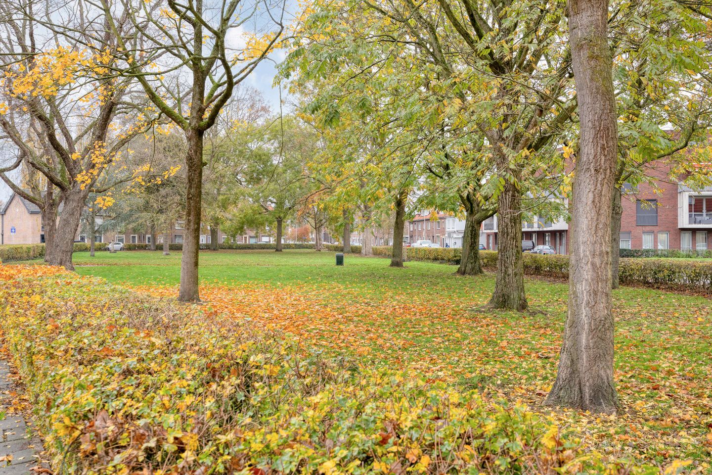 Foto 29 van Danie Theronstraat 22