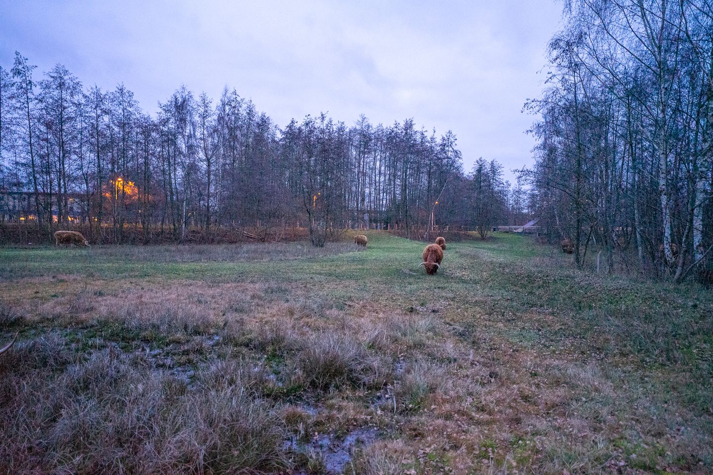 Foto 40 van Marlestraat 37