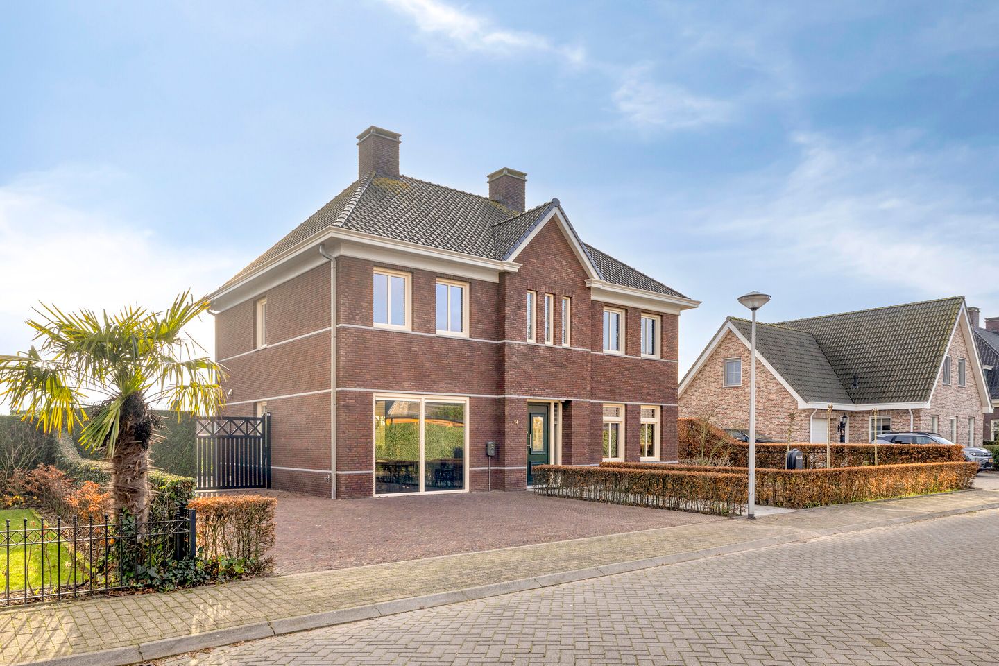 Foto 55 van Elsanta 14