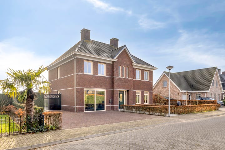 Elsanta 14 main image