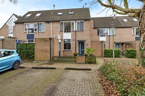 Albert Schweitzerstraat thumbnail