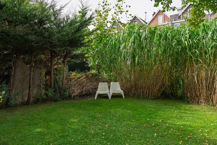 Foto 21 van Hermonlaan 17