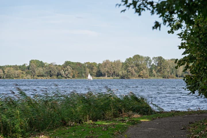 Foto 29 van Hermonlaan 17