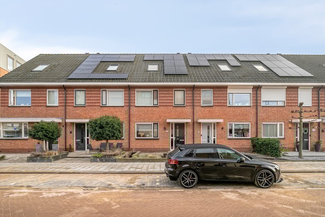 Foto 2 van Purperreiger 5