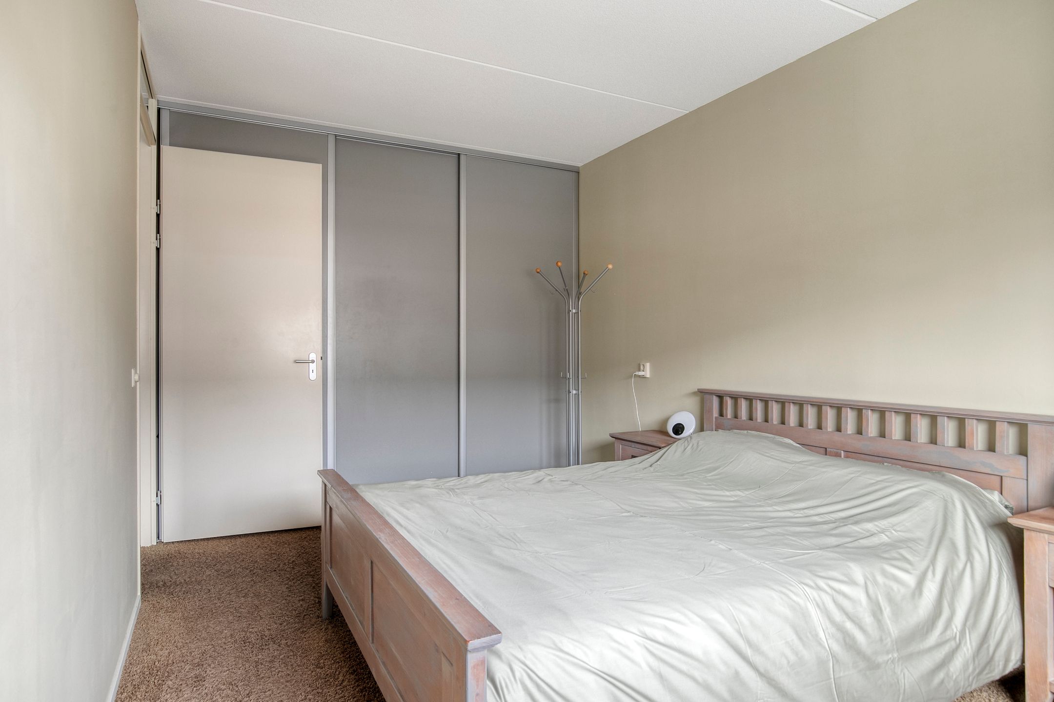 Foto 12 van Purperreiger 5