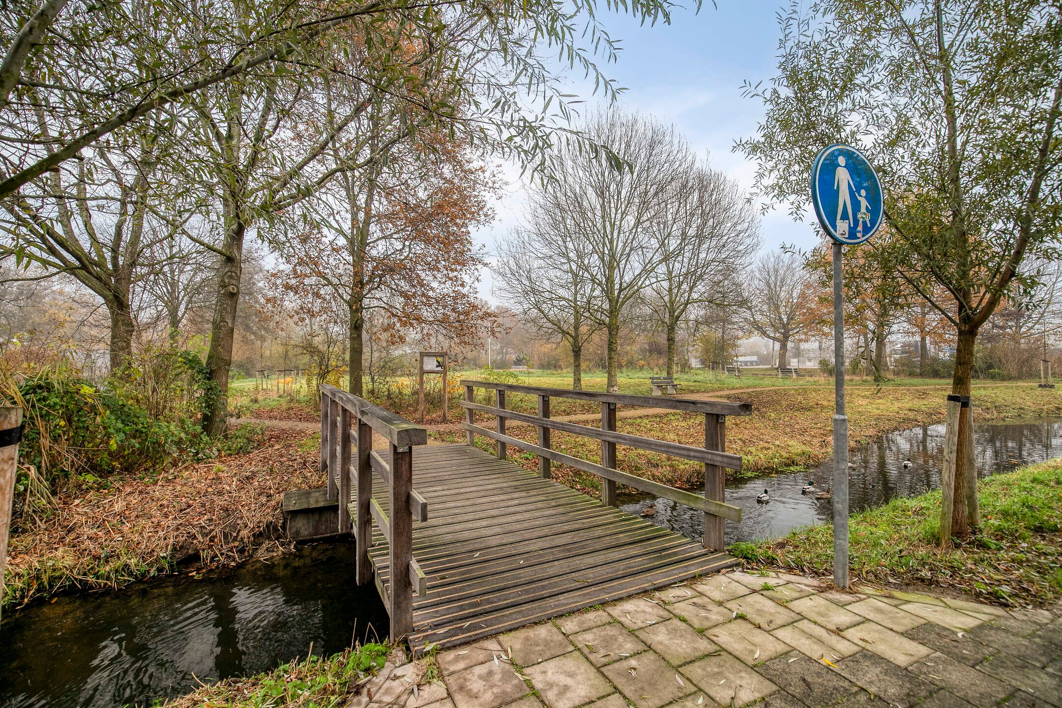 Foto 33 van Purperreiger 5