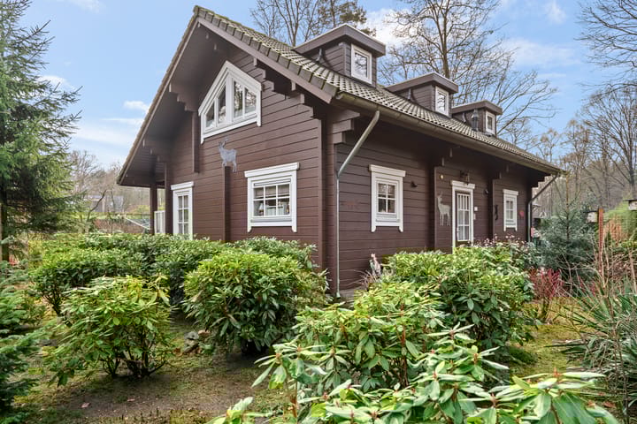 Horalaan 12 main image