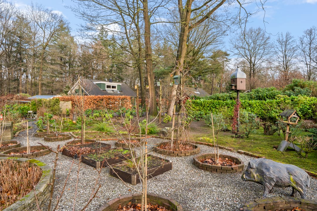 Foto 47 van Horalaan 12