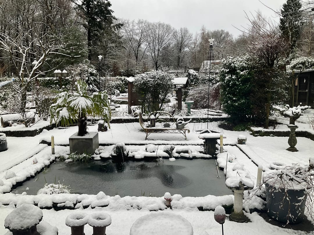 Foto 52 van Horalaan 12