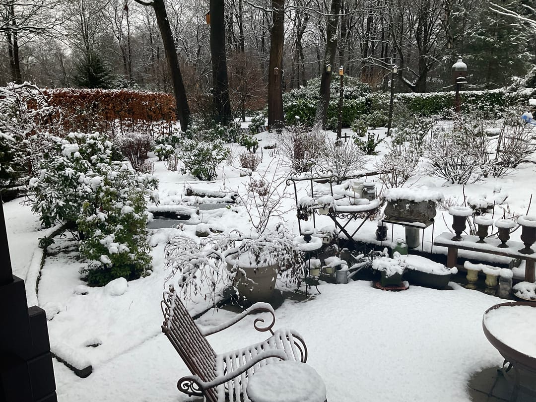 Foto 53 van Horalaan 12