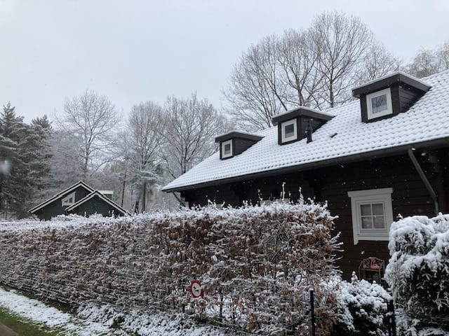 Foto 55 van Horalaan 12