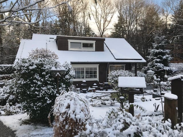 Foto 56 van Horalaan 12