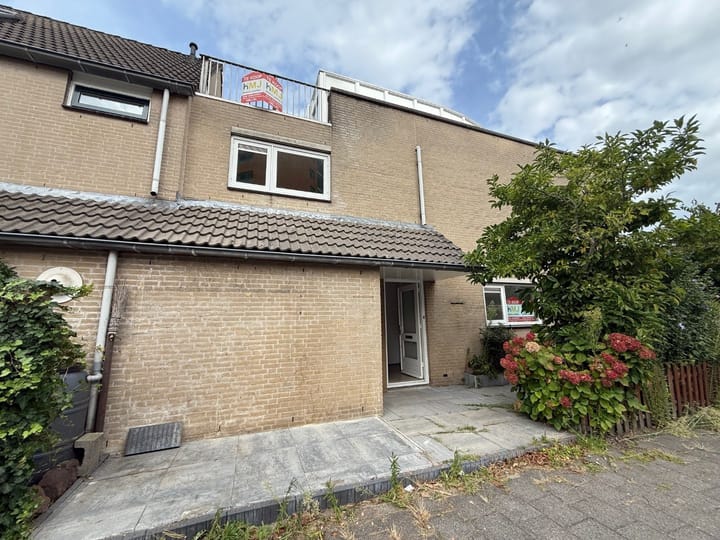 Foto 2 van Willem Marisrade 9