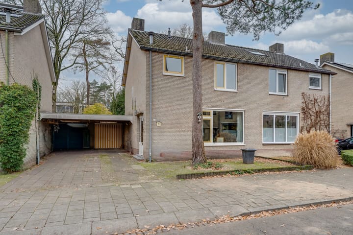 Foto 2 van Dreesstraat 11