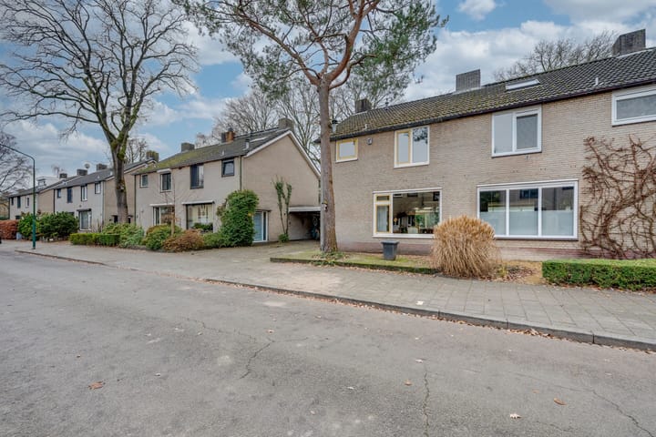 Foto 3 van Dreesstraat 11