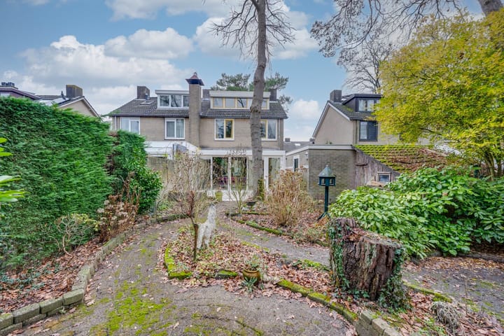 Foto 39 van Dreesstraat 11