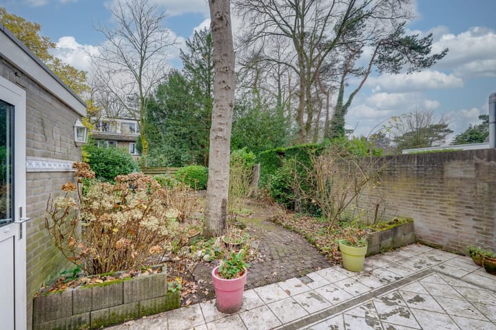 Foto 41 van Dreesstraat 11