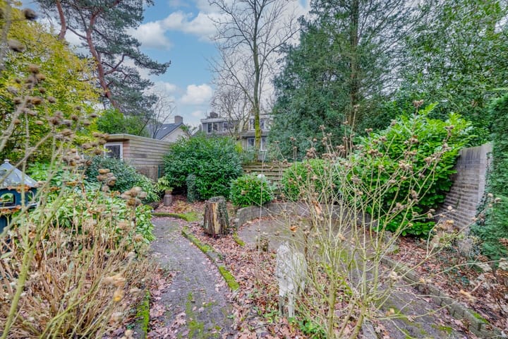 Foto 42 van Dreesstraat 11