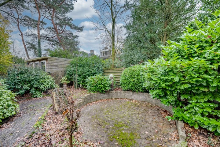 Foto 43 van Dreesstraat 11