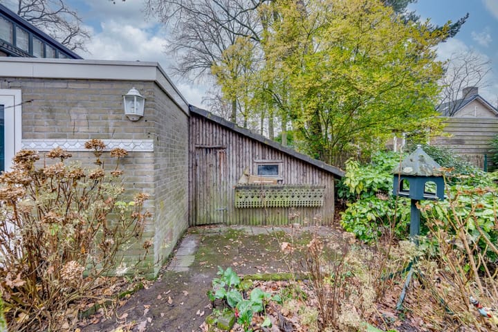 Foto 44 van Dreesstraat 11