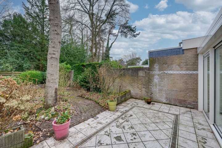 Foto 45 van Dreesstraat 11