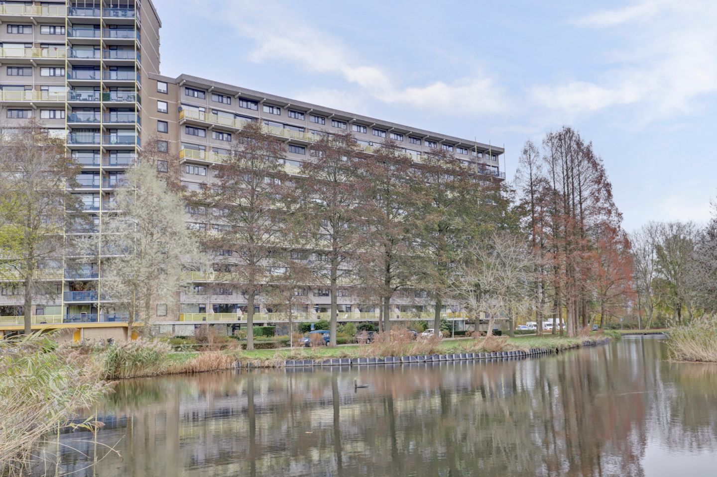 Foto 5 van Dokter van Stratenweg 669